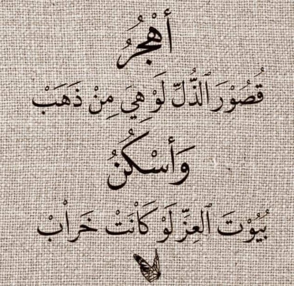 0d6fc240fbbd976bef713b313122fdfa (1).jpg