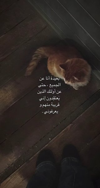 Screenshot_٢٠٢٦٠٣١٧_٢١٤٢٤٣_Instagram.jpg