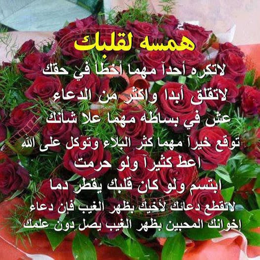 1774492663216.png 1774492663216.png