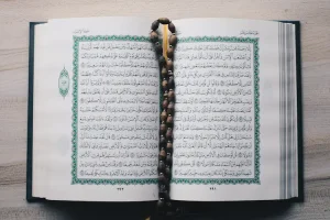 1774673569199.png 1774673569199.png