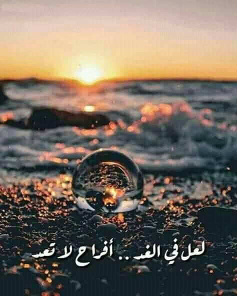 1774687773216.png 1774687773216.png