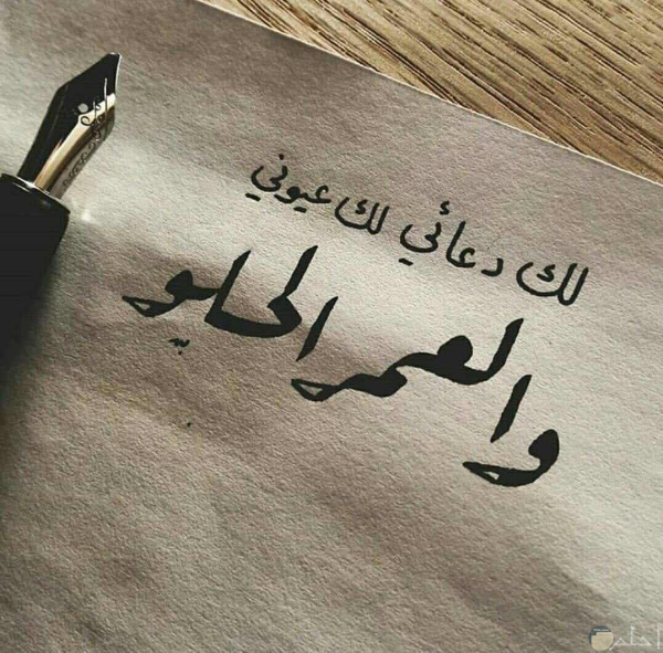 1775167650706.png 1775167650706.png