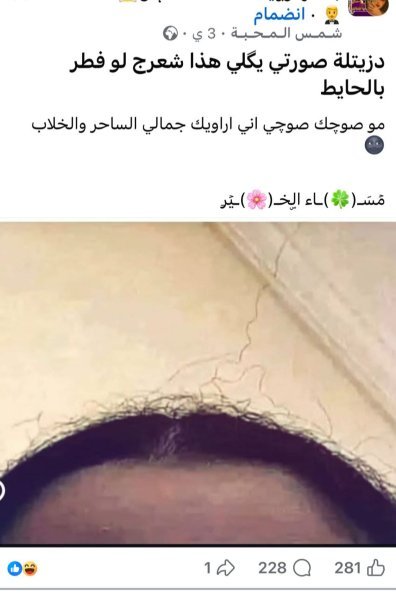 IMG-20260403-WA0021.jpg IMG-20260403-WA0021.jpg