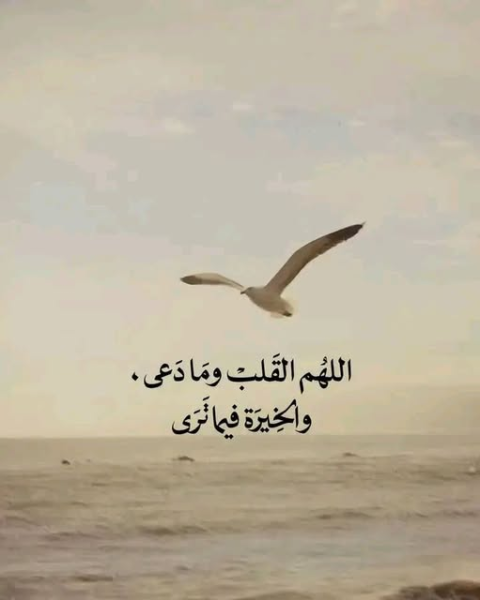 1775346621861.png