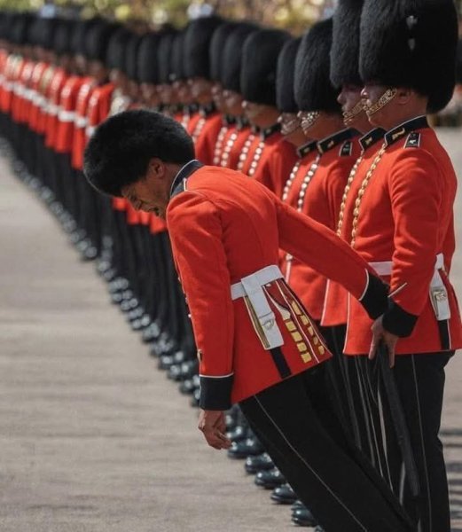 FB_IMG_1775825497219.jpg FB_IMG_1775825497219.jpg