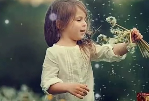 1775883256171.png 1775883256171.png