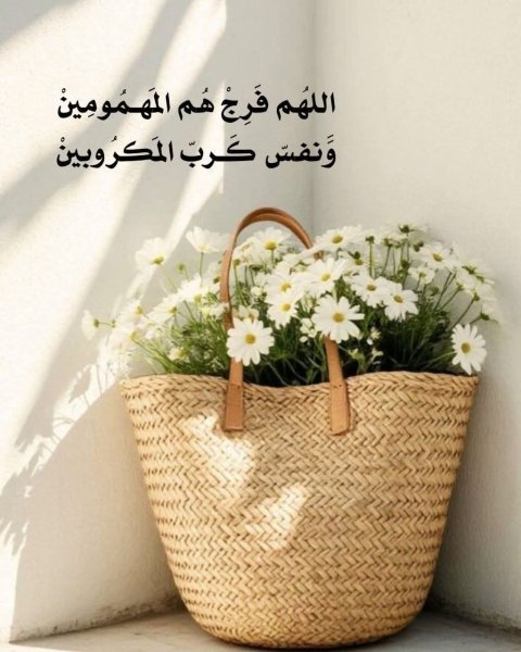 FB_IMG_1762586655974.jpg
