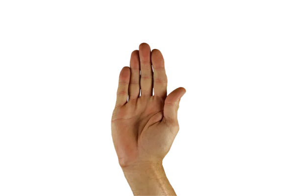 1778049237545.png