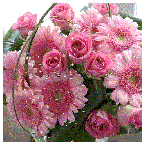 IMG_3708.gif