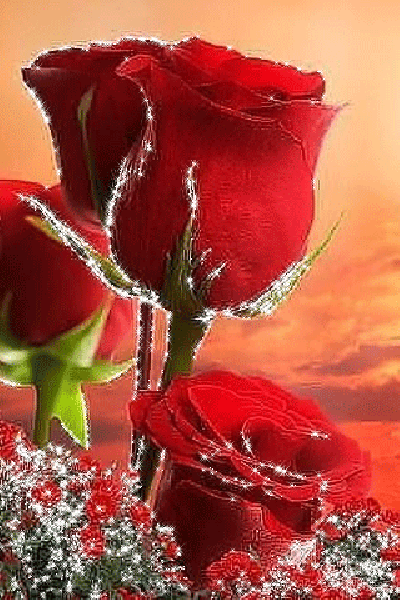 100530d8-e4db-4f00-b65d-cd0c81ac0e6a.gif
