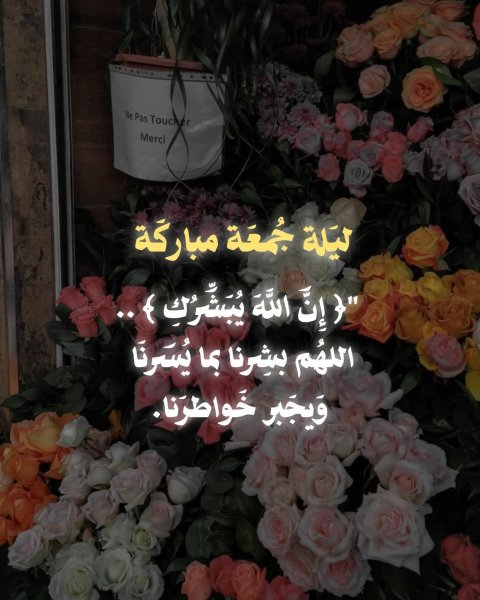 FB_IMG_1778792807895.jpg