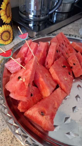 20260502_144545.jpg