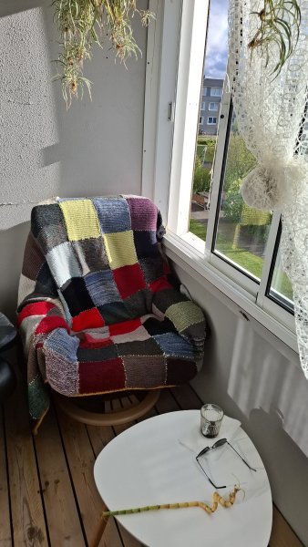 20260516_185231.jpg