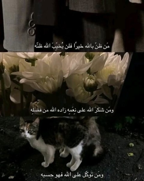 FB_IMG_1779389116760.jpg