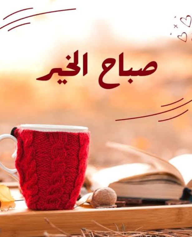 التقاط.PNG