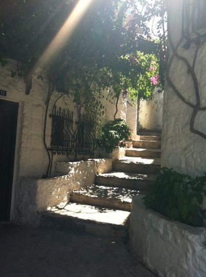 2d4e391a7744d3a26e76d3fd855fc624.jpg