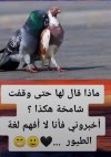 IMG_٢٠٢١٠٩٢٠_٢٠٣٢٥٠.jpg