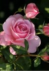 IMG_٢٠٢١٠٩١٦_١١٠٢٢٣.jpg