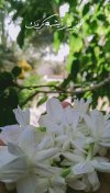 tumblr_fb5bf78a9d716de13e670f4293927cf0_59041f3b_1280.jpg