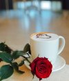 IMG_٢٠٢٠٠٩١١_١٨٣١٥٨.jpg