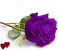 IMG_٢٠٢١٠٦٠٩_١٩١٢٤٨.jpg