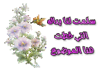 13280967593.gif