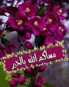 مساء الخير - مساء الورد🌹 مساء الفل🌻 مساءالياسمين🌻🌼 مساء الريحان  والنرجس🌻🌹 احلى مسا لعيونكم اصدقائي💖🌹 الله يسعدكم ويسعد مساكم❤❤ |  Facebook