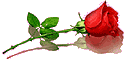7AB28E17-AA20-41E5-AB29-C95FAAB6A3CE.gif