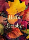FB_IMG_1633041969889.jpg