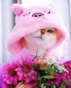 FB_IMG_1633547809177.jpg
