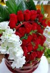 FB_IMG_1634759229776.jpg