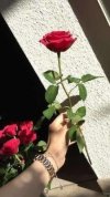 CC5B4253-6D6F-46E6-8091-3BA0F03EFB9B.jpeg