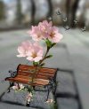 FB_IMG_1635201155722.jpg