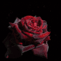 received_1516490552051667.gif