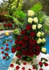 FB_IMG_1634976656841.jpg
