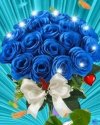 FB_IMG_1634913225251.jpg