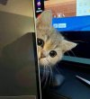 FB_IMG_1635373949950.jpg