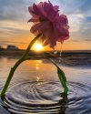 7215654C-73D2-451E-B380-8257CF40BE87.jpeg