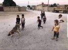طيور الجنه.jpg