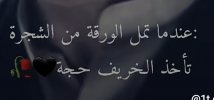 IMG_٢٠٢١١٠٠٧_١١٣٢٣٩.jpg