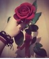 IMG_٢٠٢١١١٠٦_١٨٤٣١٦.jpg