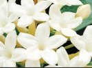 IMG_٢٠٢١١١٠٧_٢١٤٧٤٠.jpg