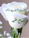 IMG_٢٠٢١١١٠٨_٠٨٥٧٣٨.jpg