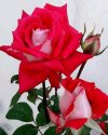 IMG_20210904_103711_919.jpg