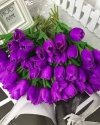 images (1) (32).jpeg