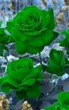 FB_IMG_1636668835516.jpg