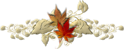 98.png 98.png