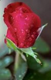 IMG_٢٠٢١١١٠٨_٠٨٤٩٣٢.jpg