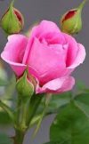 IMG_٢٠٢١١١٠٨_٠٨٤٩٥٤.jpg