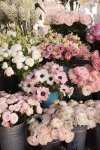 London Photography, Spring Flower Shop, London in the Spring, Pink Flowers in London, Rebecca...jpeg